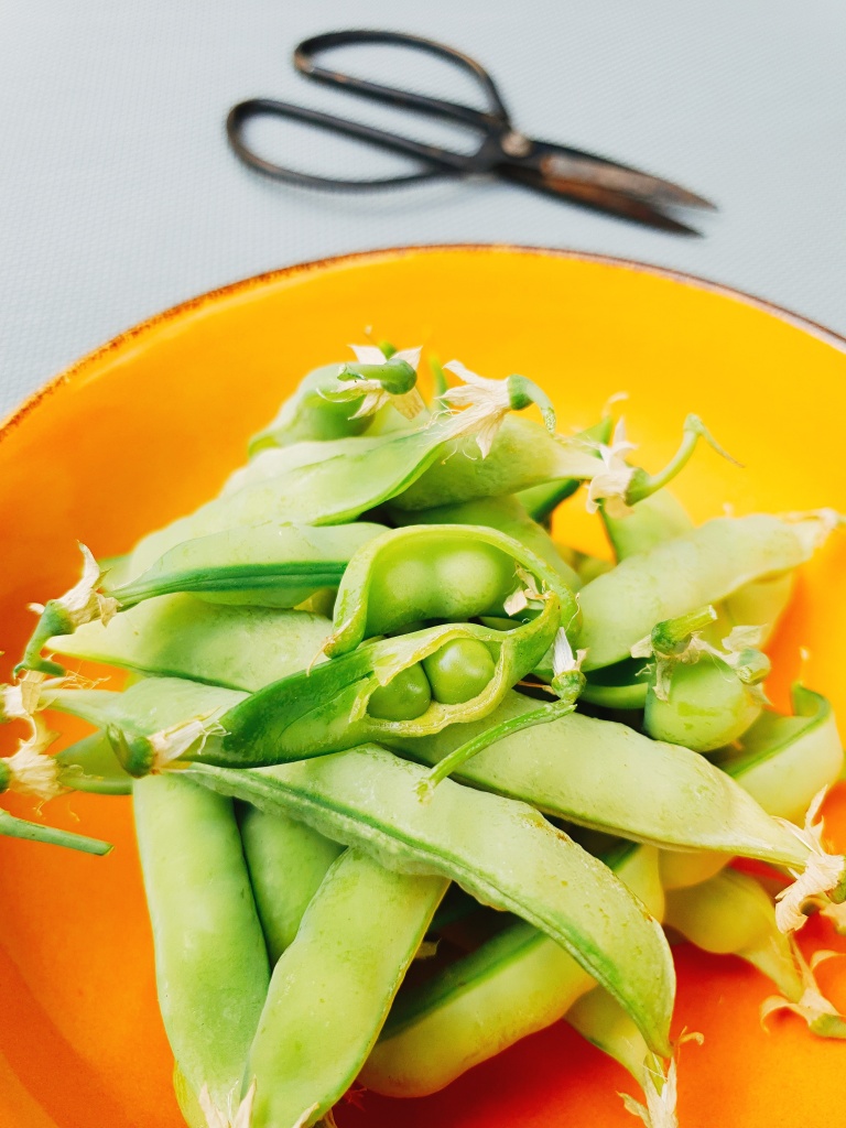 Zuckerschoten-Salat mit Radieschen, Mango und Cashews